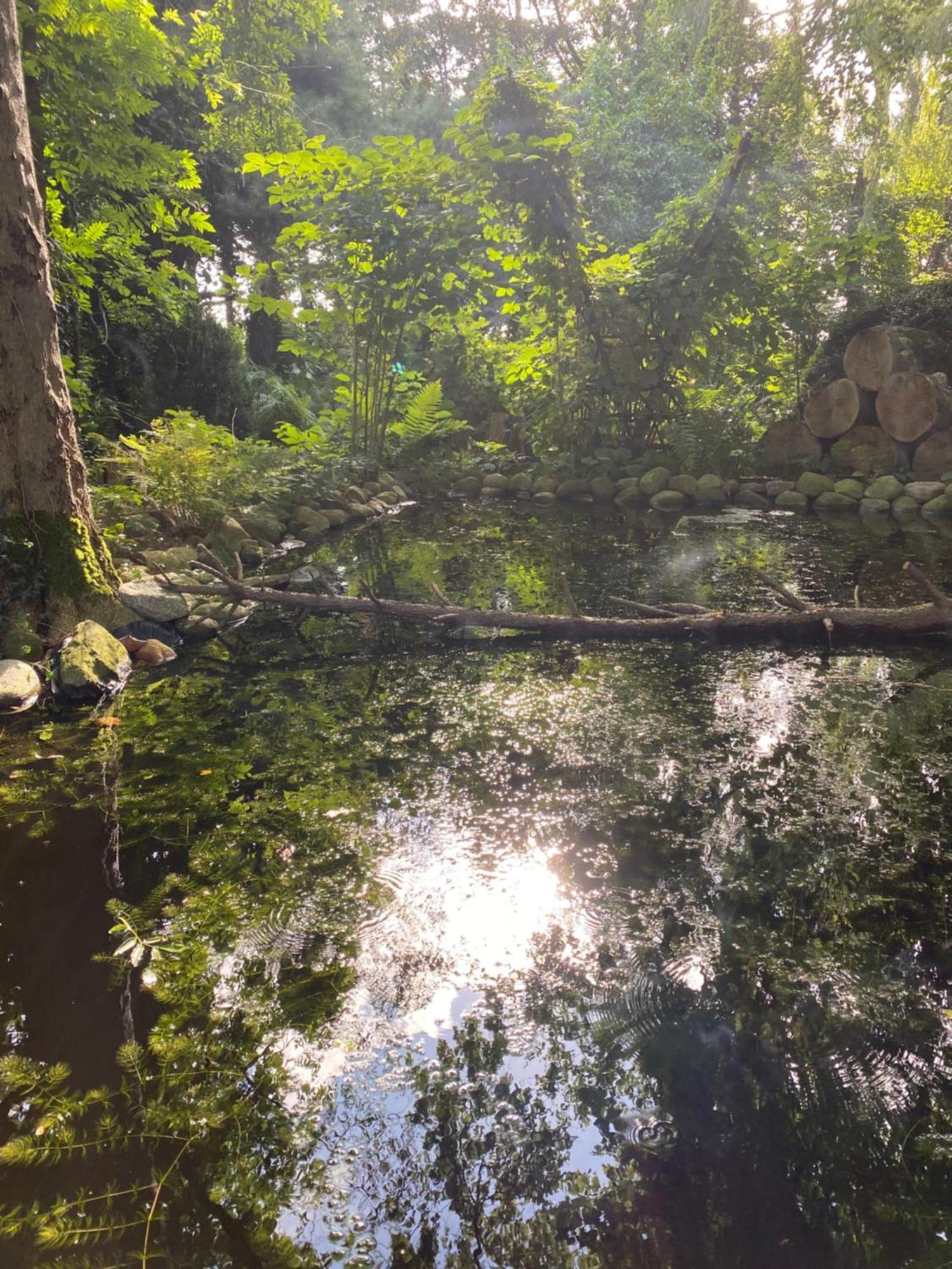 Ferienwohnung Auf Einem Resthof Zentral Gelegen Mit Viel Natur Und Tieren Rendswuhren Bagian luar foto