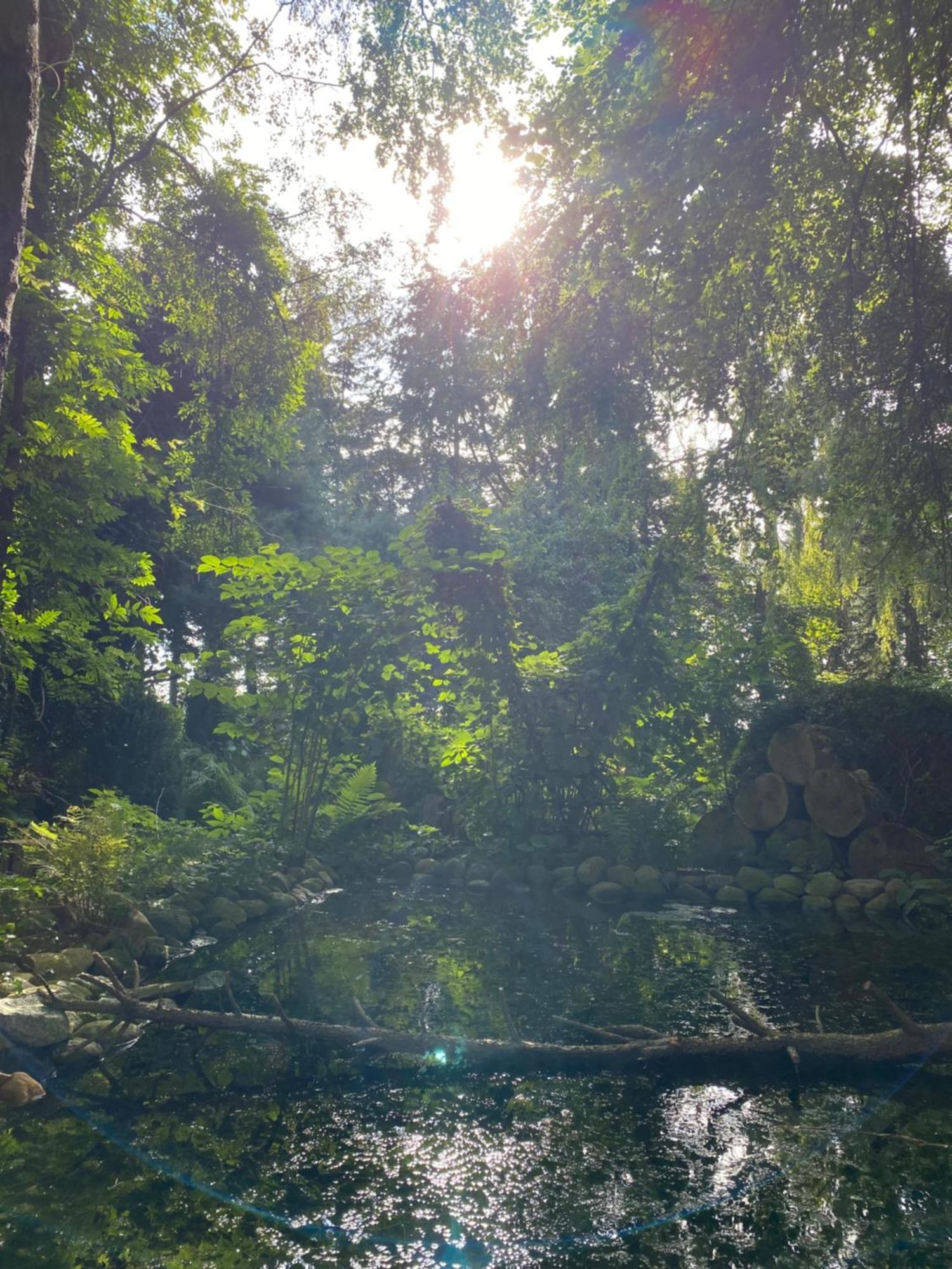 Ferienwohnung Auf Einem Resthof Zentral Gelegen Mit Viel Natur Und Tieren Rendswuhren Bagian luar foto
